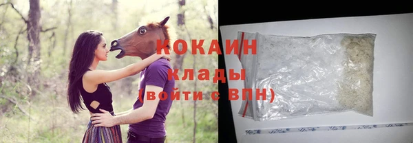 бошки Галич