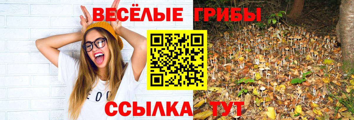 Галлюциногенные грибы Psilocybine cubensis  Вход с VPN  Галлюциногенные грибы Psilocybine cubensis  Стрежевой 