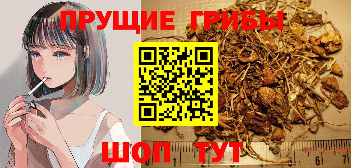 Псилоцибиновые грибы Cubensis Стрежевой